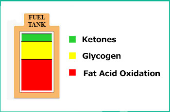 Ketones to Glycogen and Fat Ratio