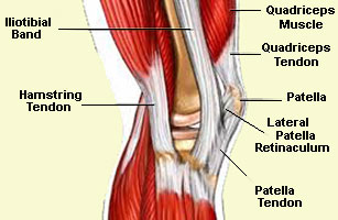 running injuries of the hamstring and knee